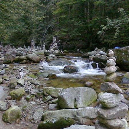 Pension Mona ハルラホフ エクステリア 写真